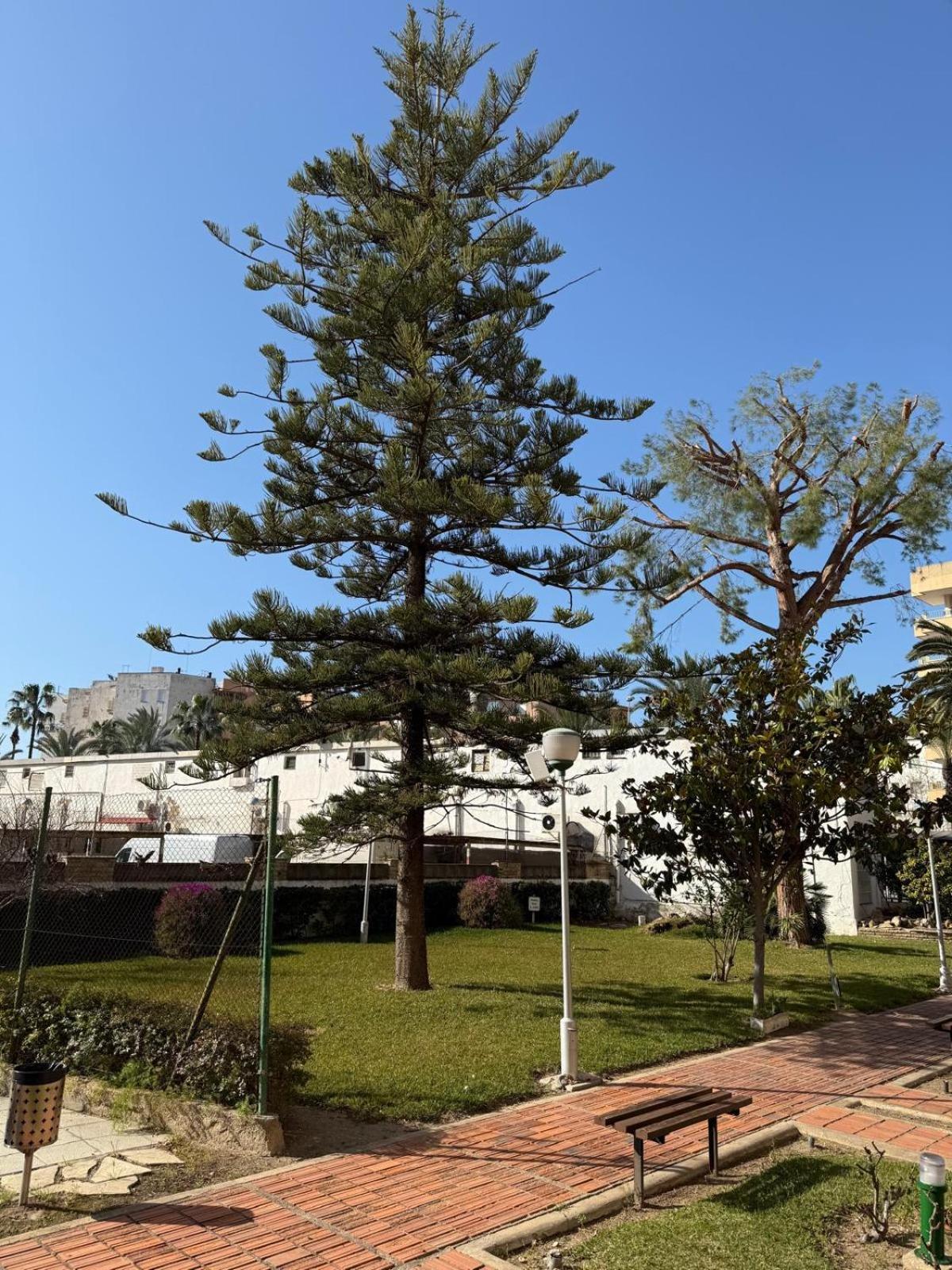 Apartamentos Hesperia Palmyra Salou Exterior photo